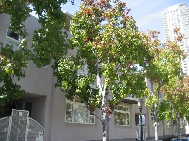 7 on Kettner